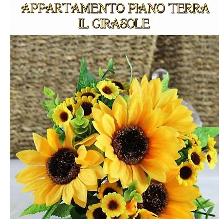 La Casa Dei Gabbiani * Torre del Lago Puccini
